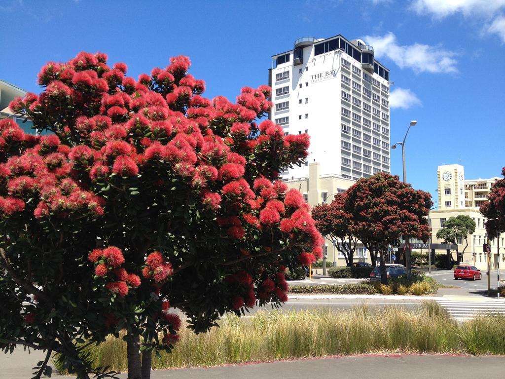Bay Plaza Hotel Wellington Exterior foto