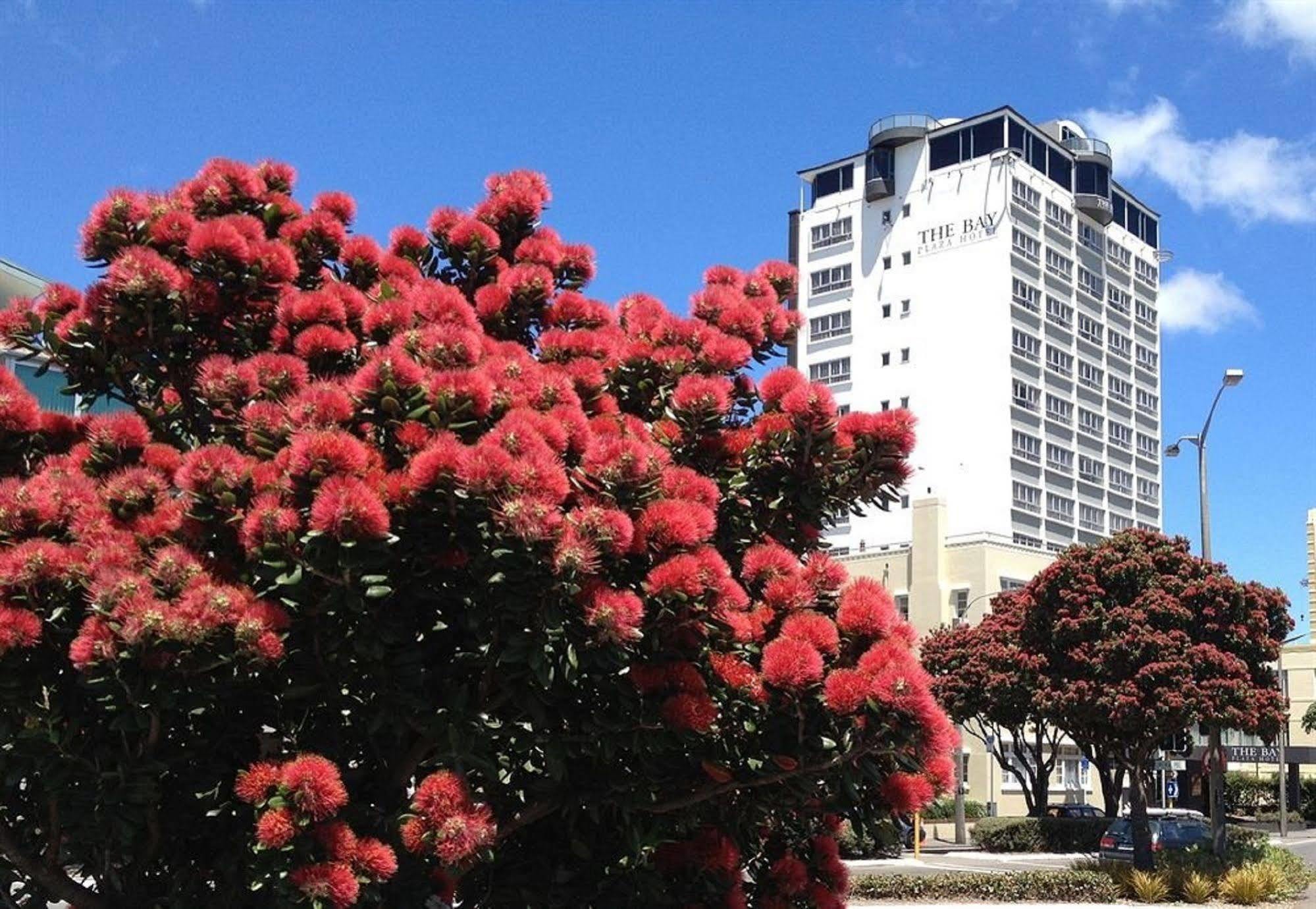Bay Plaza Hotel Wellington Exterior foto